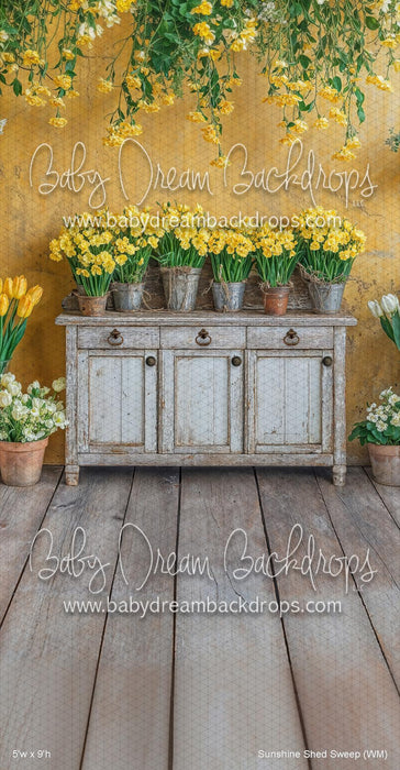 Sunshine Shed Sweep (WM)