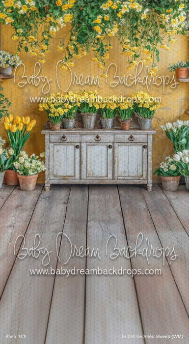 Sunshine Shed Sweep (WM)