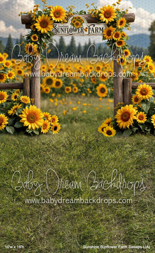 Sunshine Sunflower Farm Sweeps (JA)