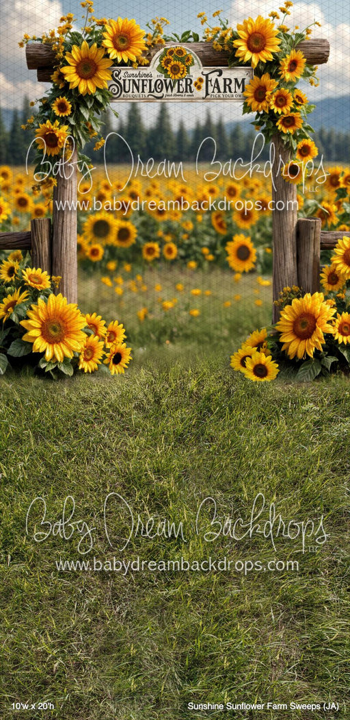 Sunshine Sunflower Farm Sweeps (JA)