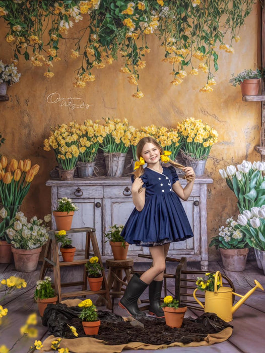 Sunshine Shed Sweep (WM)