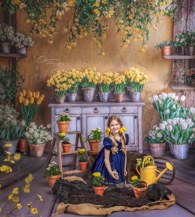 Sunshine Shed Sweep (WM)