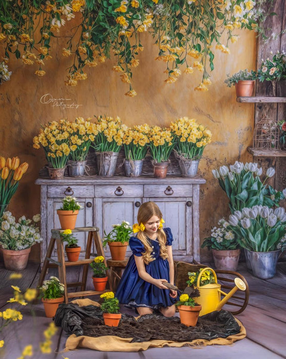 Sunshine Shed Sweep (WM)