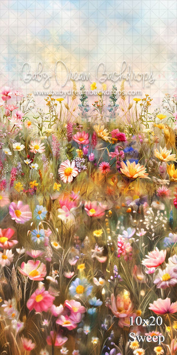 Sweep A Pastel Palette Field of Flowers (VR)