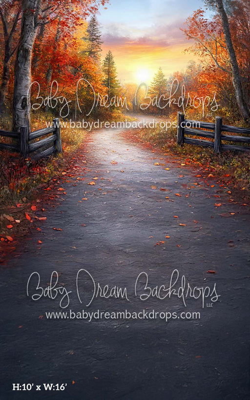 Sweep Autumn Eve (CM)