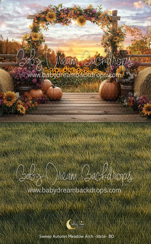 Sweep Autumn Meadow Arch (BD)