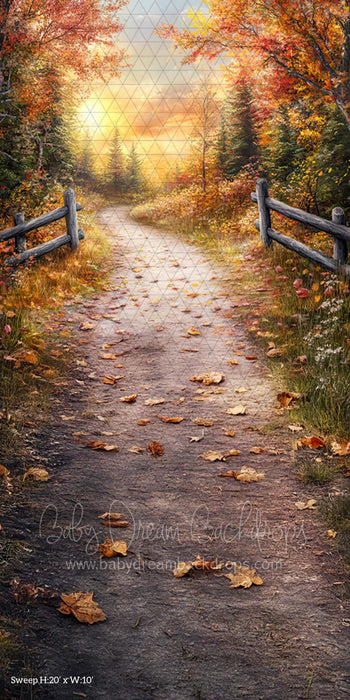 Sweep Autumn Sunset (CM)