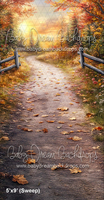 Sweep Autumn Sunset (CM)