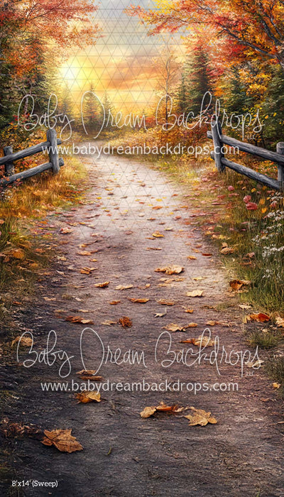 Sweep Autumn Sunset (CM)