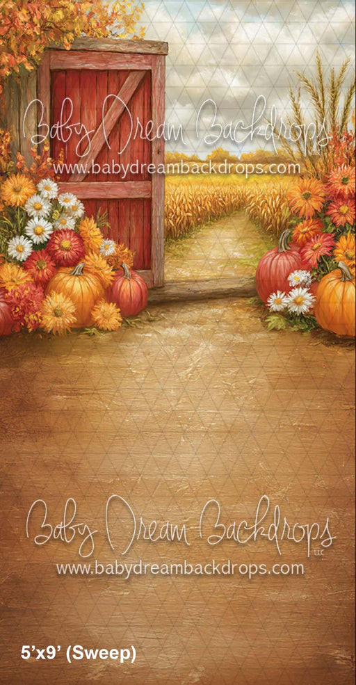 Sweep Country Autumn (CM)