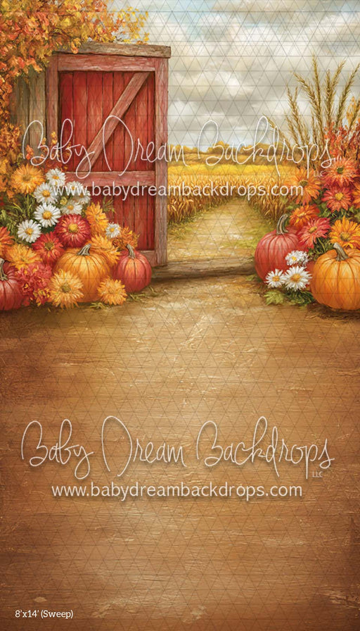 Sweep Country Autumn (CM)