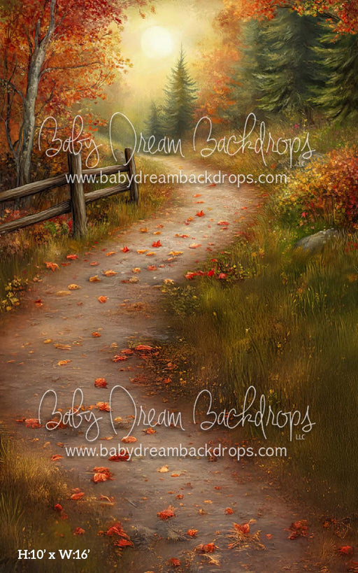 Sweep Country Autumn Road (CM)