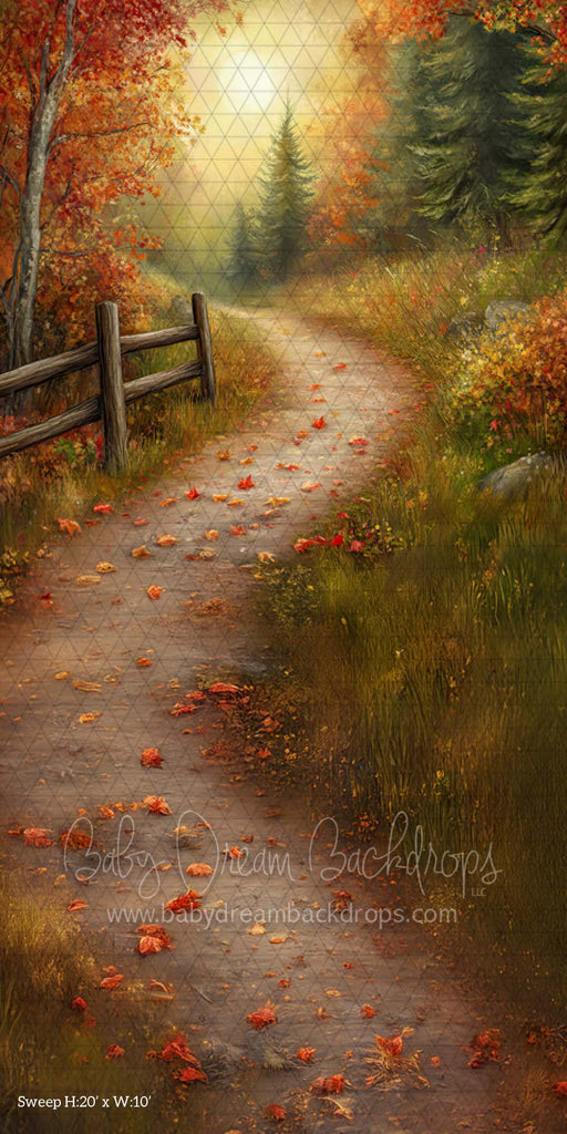 Sweep Country Autumn Road (CM)