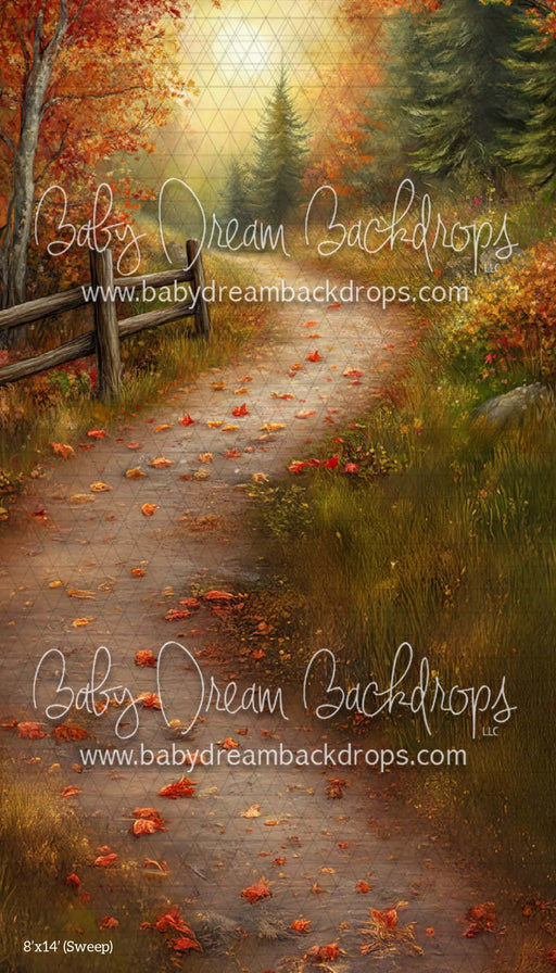 X Drop Sweep Country Autumn Road (CM)