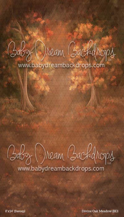 Sweep Divine Oak Meadow (BD)