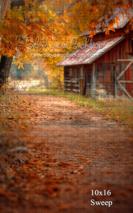 Sweep Down a Country Road (VR)