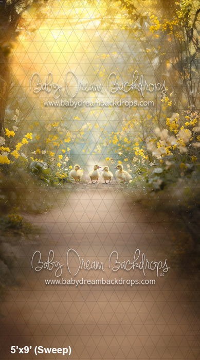 Sweep Duck Duck Goose (VR)