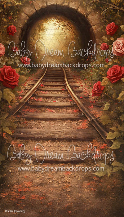 Sweep Forgotten (CM)