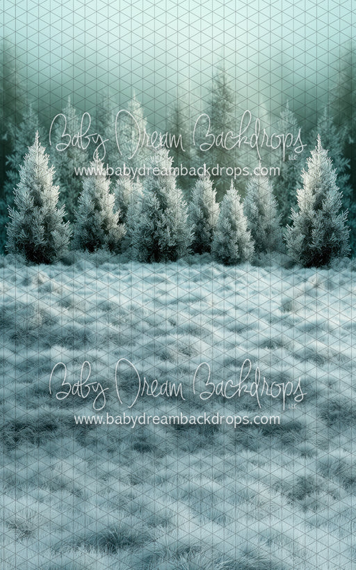 Sweep Frozen Misty Green Pines (BD)