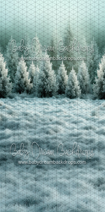 Sweep Frozen Misty Green Pines (BD)