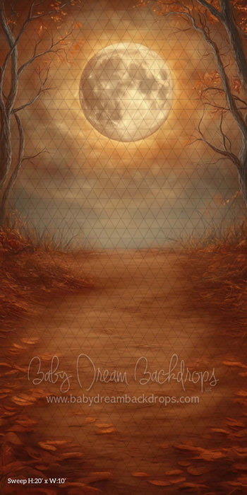 Sweep Harvest Moon (CM)