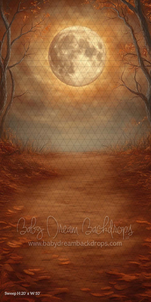 Sweep Harvest Moon (CM)