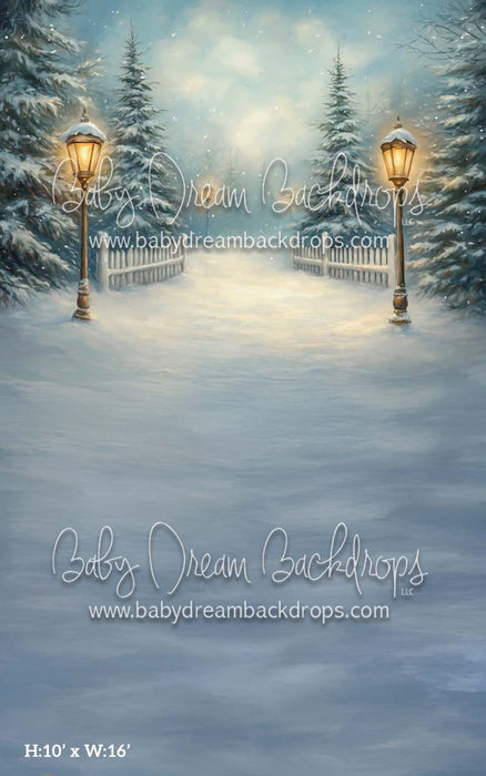 Sweep Painted Winter (CM)