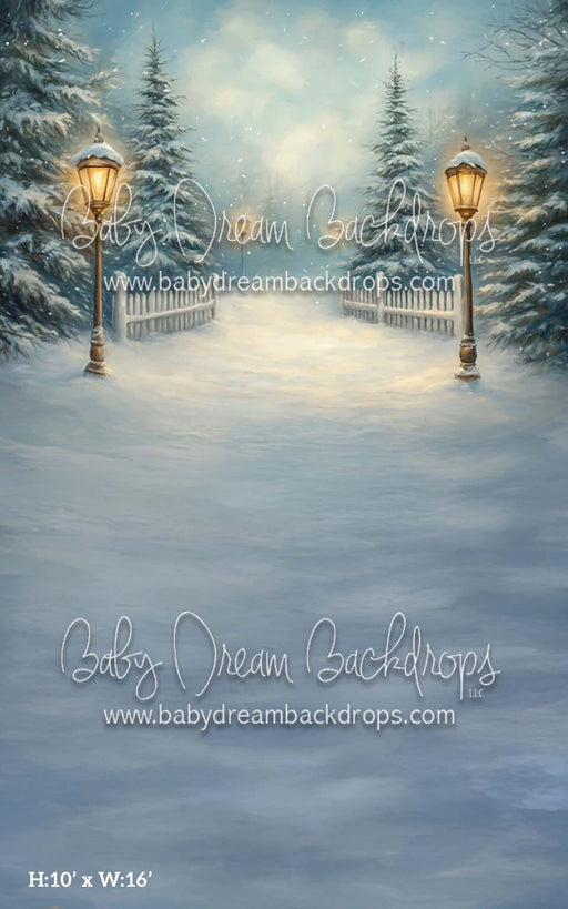 Sweep Painted Winter (CM)