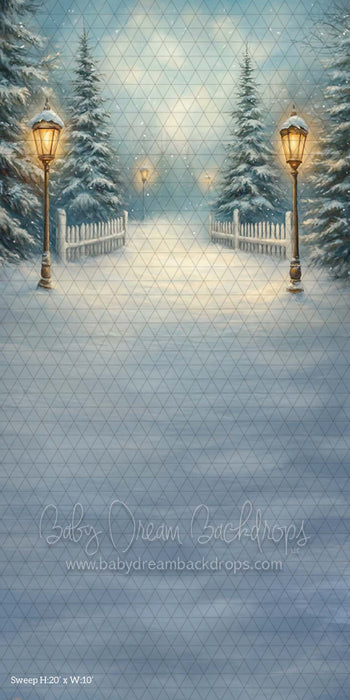 Sweep Painted Winter (CM)