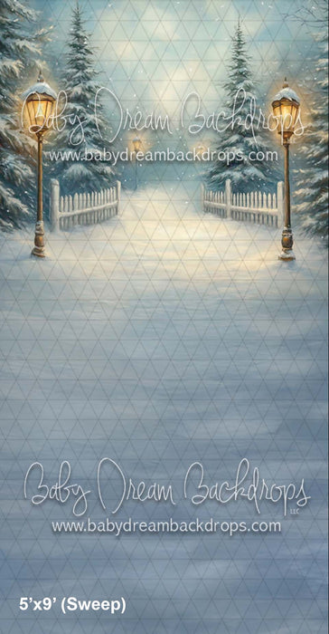 Sweep Painted Winter (CM)