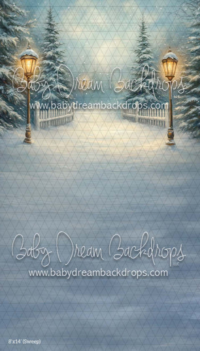 Sweep Painted Winter (CM)