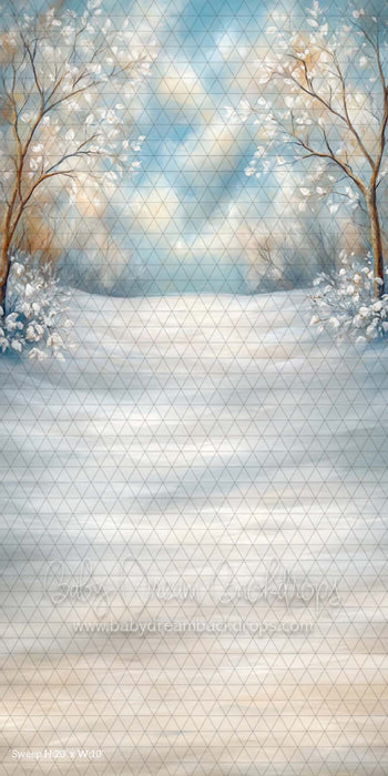 Sweep Painted Winter Wonderland (CM)