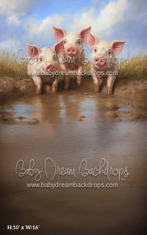 Sweep Piggy Party (CM)