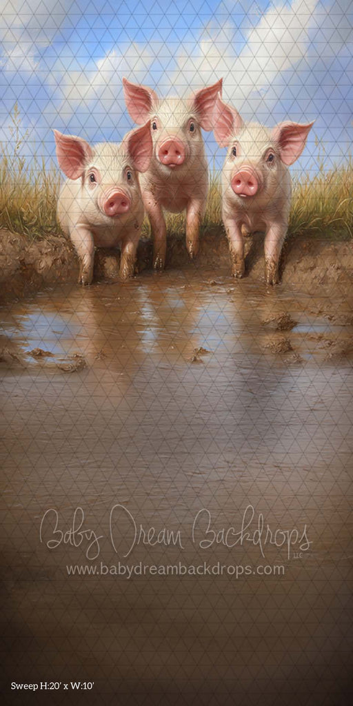 Sweep Piggy Party (CM)