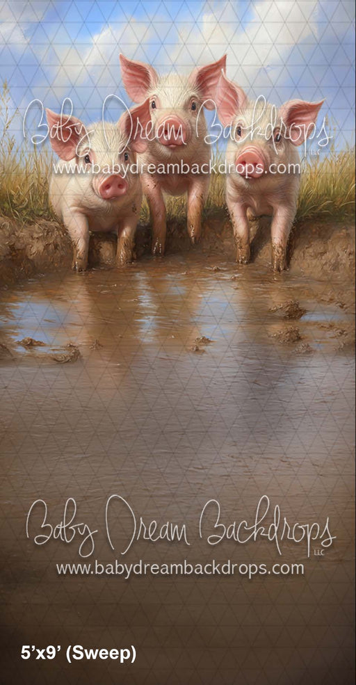 Sweep Piggy Party (CM)