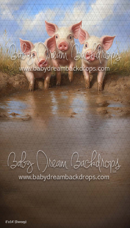 Sweep Piggy Party (CM)