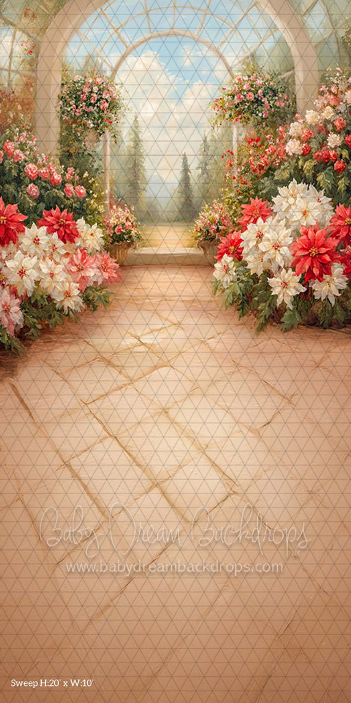 Sweep Poinsettia Greenhouse (CM)