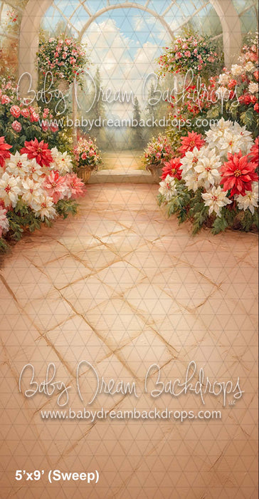 Sweep Poinsettia Greenhouse (CM)