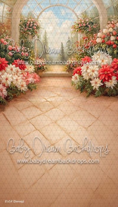 Sweep Poinsettia Greenhouse (CM)