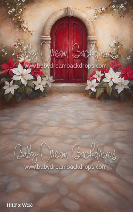 Sweep Poinsettia Noel (CM)