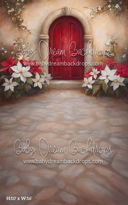 Sweep Poinsettia Noel (CM)