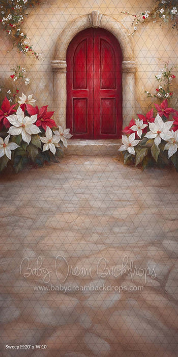 Sweep Poinsettia Noel (CM)