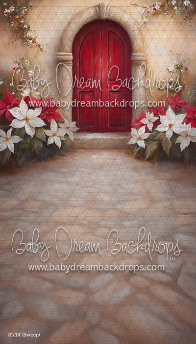 Sweep Poinsettia Noel (CM)