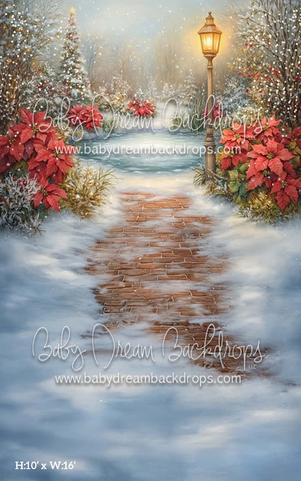 Sweep Poinsettia Pond (CM)