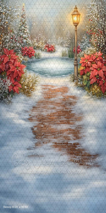 Sweep Poinsettia Pond (CM)