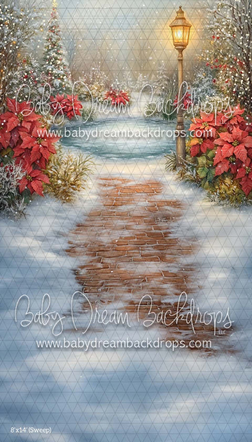 Sweep Poinsettia Pond (CM)