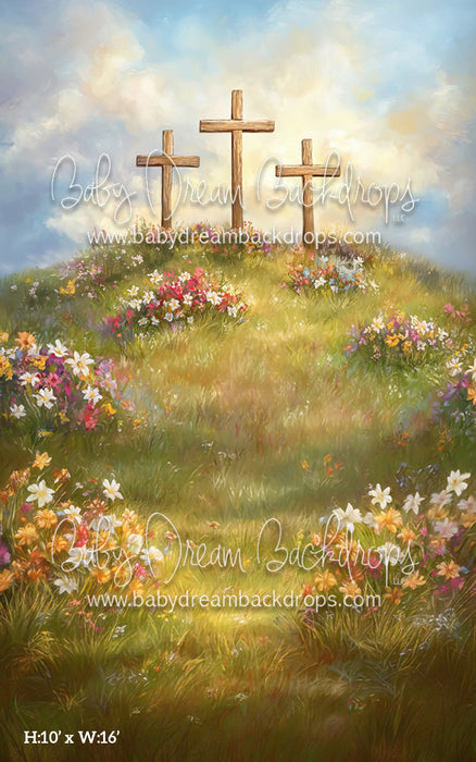 Sweep Spring Blessings (CM)