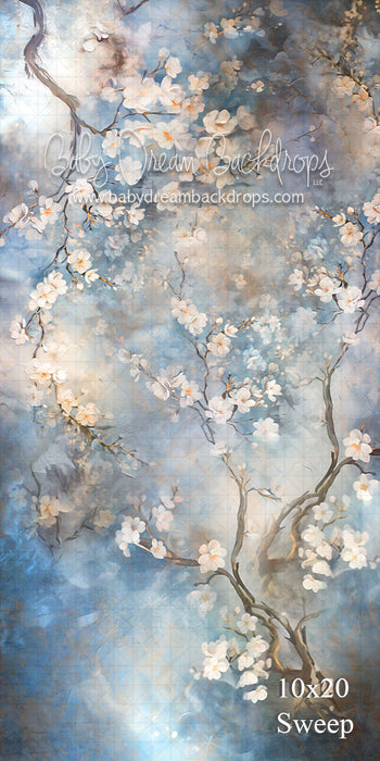 Sweep Spring Cherry Blossom (VR)