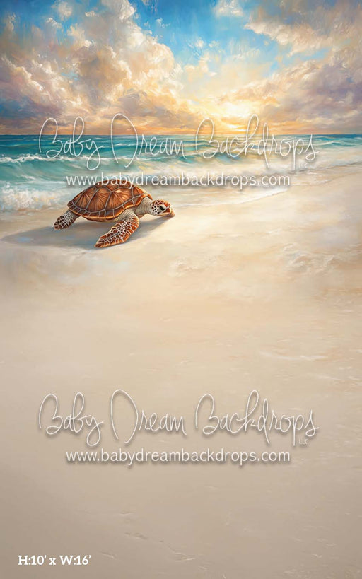 Sweep Summer Shores (CM)