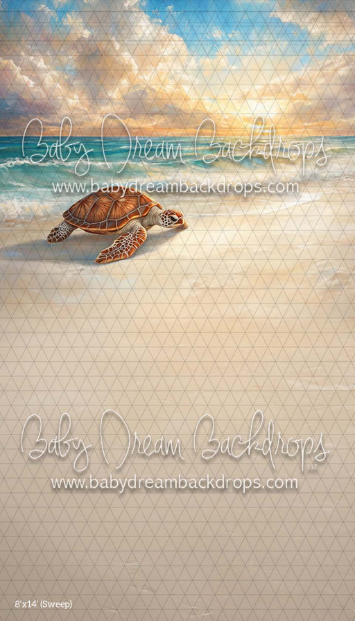 Sweep Summer Shores (CM)